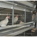 H Frame Breeder Cage de poulet